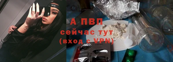 прущие грибы Верея